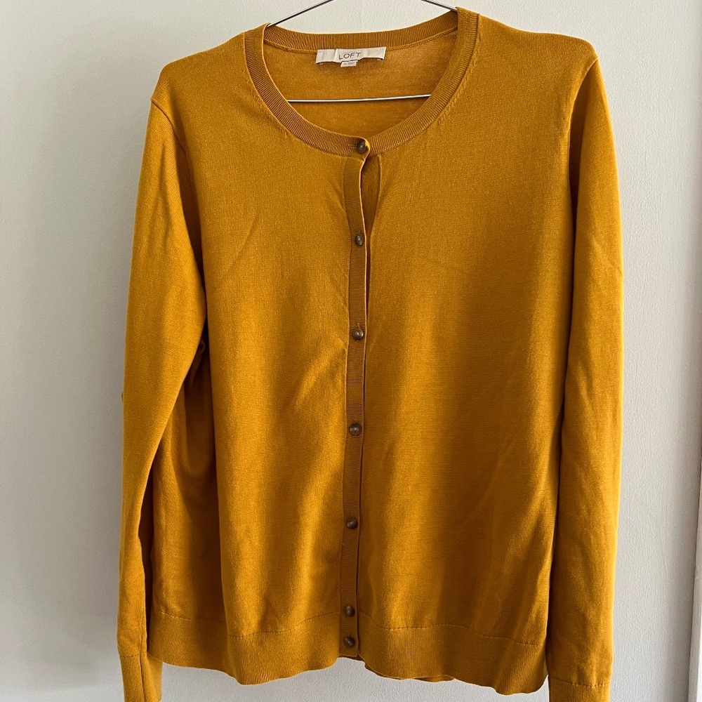 Ann Taylor Loft lightweight sweater
